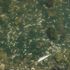 Aydın'da sulama kanalındaki toplu balık ölümlerine ilişkin inceleme