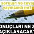 AÖF sınav soruları ve cevapları yayınlandı mı? 2019 Açıköğretim final sınavı sonuçları ne zaman açıklanacak?