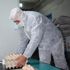 ﻿Tavuk yumurtasında büyük aldatmaca. Yumurta alırken çok dikkat edin