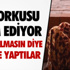 İran'dan Çin'e nükleer müzakere övgüsü