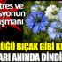 ﻿Öksürüyü bıçak gibi kesiyor ağrıları anında dindiriyor