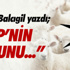 Şampiyonlar Ligi 3. Ön Eleme Turu Şampiyonlar Ligi 3. Ön Eleme Turu