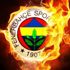Fenerbahçe Nuri Şahin transferini bitiriyor