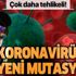 Dikkat! Koronavirüste yeni mutasyon! Daha çok bulaşıyor