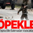 İsrail Taş Atanlara Mermi Sıkacak