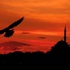 Mevlid Kandiliniz Mübarek Olsun Mevlid Kandiliniz Mübarek Olsun