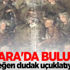 Ankara'da bulundu! Değeri dudak uçuklatıyor