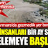 ﻿Salya'dan bir ay sonra bilim insanları bir ay sonra incelemeye başladı