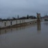 Edirne'de Tunca'dan sonra Meriç nehri de taştı Edirne'de Tunca'dan sonra Meriç nehri de taştı