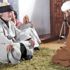 Yedi alim yedi kısa film Yedi alim yedi kısa film