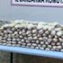Hakkari’de 52 kilo 700 gram eroin ele geçirildi Hakkari’de 52 kilo 700 gram eroin ele geçirildi