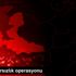 Tire de hırsızlık operasyonu Tire de hırsızlık operasyonu