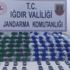 Iğdır'da kaçak operasyonu: 2 gözaltı