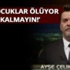 89 ülkeye vize mi uygulanacak?... Bakanlık açıkladı