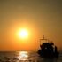Pakistan'ın kara sularına izinsiz giren 56 Hint balıkçı yakalandı