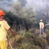 Muğla'da makilik alanda yangın