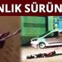 Insanlık sürünüyor