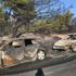 İzmir'de 44 aracın hasar gördüğü orman yangınına sigara izmariti neden olmuş
