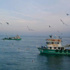 Av yasağı başlıyor
