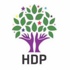 HDP'den sokağa çıkın çağrısı