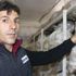 Vanlı mantar üreticisi, yaptığı karışımla yeşil küf hastalığına son verdi! Vanlı mantar üreticisi, yaptığı karışımla yeşil küf hastalığına son verdi!