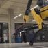 Boston Dynamics: Robot köpek Spot, artık her yerden kumanda edilebiliyor, ortalığı topluyor, ip atlıyor
