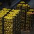 Tarım ve Orman Bakanlığından 10 bin ton limon ihracatına izin Tarım ve Orman Bakanlığından 10 bin ton limon ihracatına izin