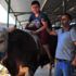 Kurbanlık tosun 35 bin liraya alıcısını bekliyor