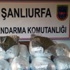 Şanlıurfa'da 36 kilo esrar ele geçirildi