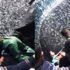Balıkçılardan örnek hareket: Binlerce kefal yavrusunu denize bıraktılar