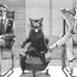 Bulgakov okuyan şakirt