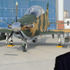 Prof. Dr. Temel Kotil'den HÜRKUŞ müjdesi Prof. Dr. Temel Kotil'den HÜRKUŞ müjdesi