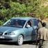 Tunceli’de “Özgür Kürdistan”, Şırnak’ta “özerk devlet”