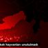 Mut ta sokak hayvanları unutulmadı