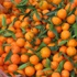 Şubatta zam şampiyonu mandalina!