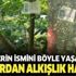 Şehitlerin ismi ağaçlarda yaşayacak! Şehitlerin ismi ağaçlarda yaşayacak!