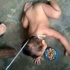 Filipinli kadın çocuğuna tasma takıp köpek maması yedirdi Filipinli kadın çocuğuna tasma takıp köpek maması yedirdi