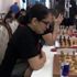 Spor red bull chess masters da şampiyon marmara bölgesi