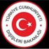 Korkunç iddia! Türk uçakları vurulacak! Korkunç iddia! Türk uçakları vurulacak!