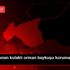 Yaralı bulunan kulaklı orman baykuşu koruma altına ... Yaralı bulunan kulaklı orman baykuşu koruma altına ...