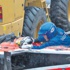 F1'de facia