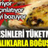 Bu besinleri tüketmeyenlerde dil şişmesi, ishal, kulak çınlaması, ciltte sararma, çarpıntı görülüyor. Bu besinleri tüketmeyen hastalıklarla boğuşuyor Bu besinleri tüketmeyenlerde dil şişmesi, ishal, kulak çınlaması, ciltte sararma, çarpıntı görülüyor. Bu besinleri tüketmeyen hastalıklarla boğuşuyor