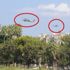 İskenderun’da askeri helikopter hareketliliği İskenderun’da askeri helikopter hareketliliği
