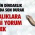 Zonguldak’ta 67 Bin 925 Sığır, 15 Bin 670 Keçi Var Zonguldak’ta 67 Bin 925 Sığır, 15 Bin 670 Keçi Var