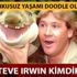 Steve Irwin'in ismi Doodle oldu! Peki ünlü belgeselci Irwin genç yaşta nasıl öldü?