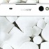 Sony güncellemeleri onaylanıyor!