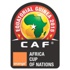 Afrika Kupası'nda final heyecanı Afrika Kupası'nda final heyecanı