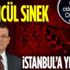 Ölümcül Asya Kaplan Sivrisineği İstanbul'u mesken tuttu! İBB uyarıları dikkate almayınca...