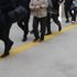 Konya merkezli 8 ilde FETÖ/PDY operasyonu