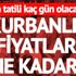 2017 Kurbanlık fiyatları (Küçükbaş kurbanlık, büyükbaş kurbanlık ne kadar?) Dana, koyun kaç lira? 2017 Kurbanlık fiyatları (Küçükbaş kurbanlık, büyükbaş kurbanlık ne kadar?) Dana, koyun kaç lira?